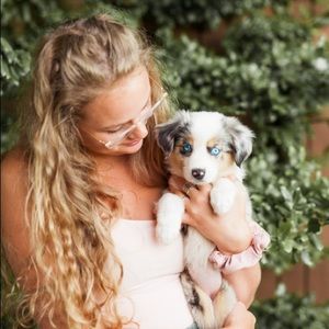 Meet your Posher, Corah